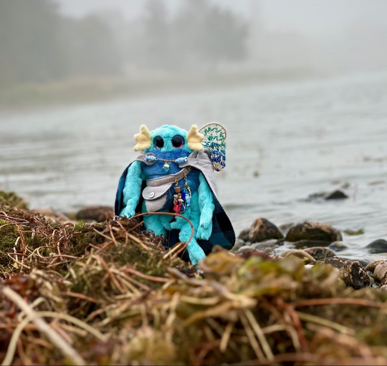 Shore Scrounger Swamps