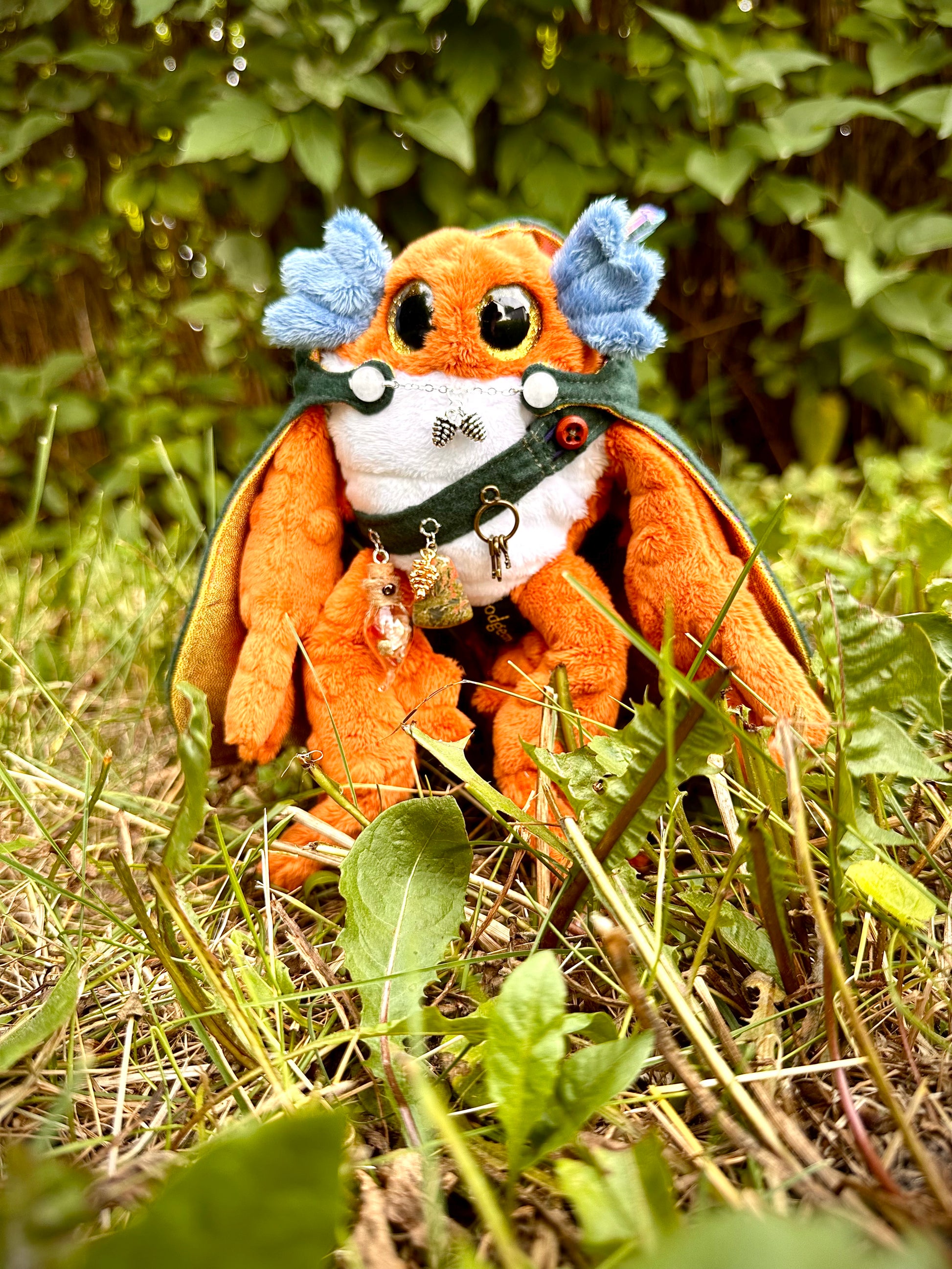 Thimbleloaf - TrudgeWalker Swamp