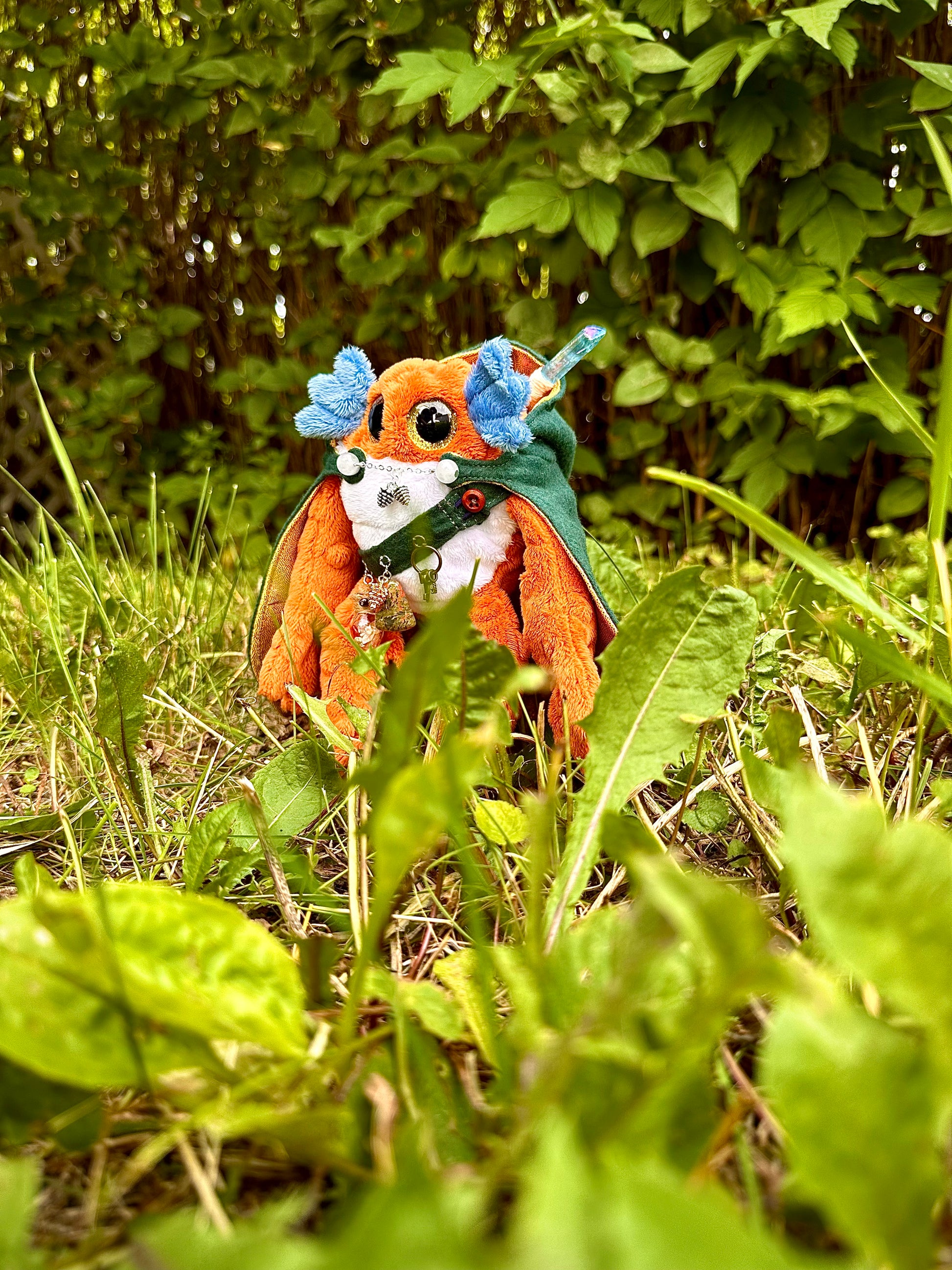 Thimbleloaf - TrudgeWalker Swamp