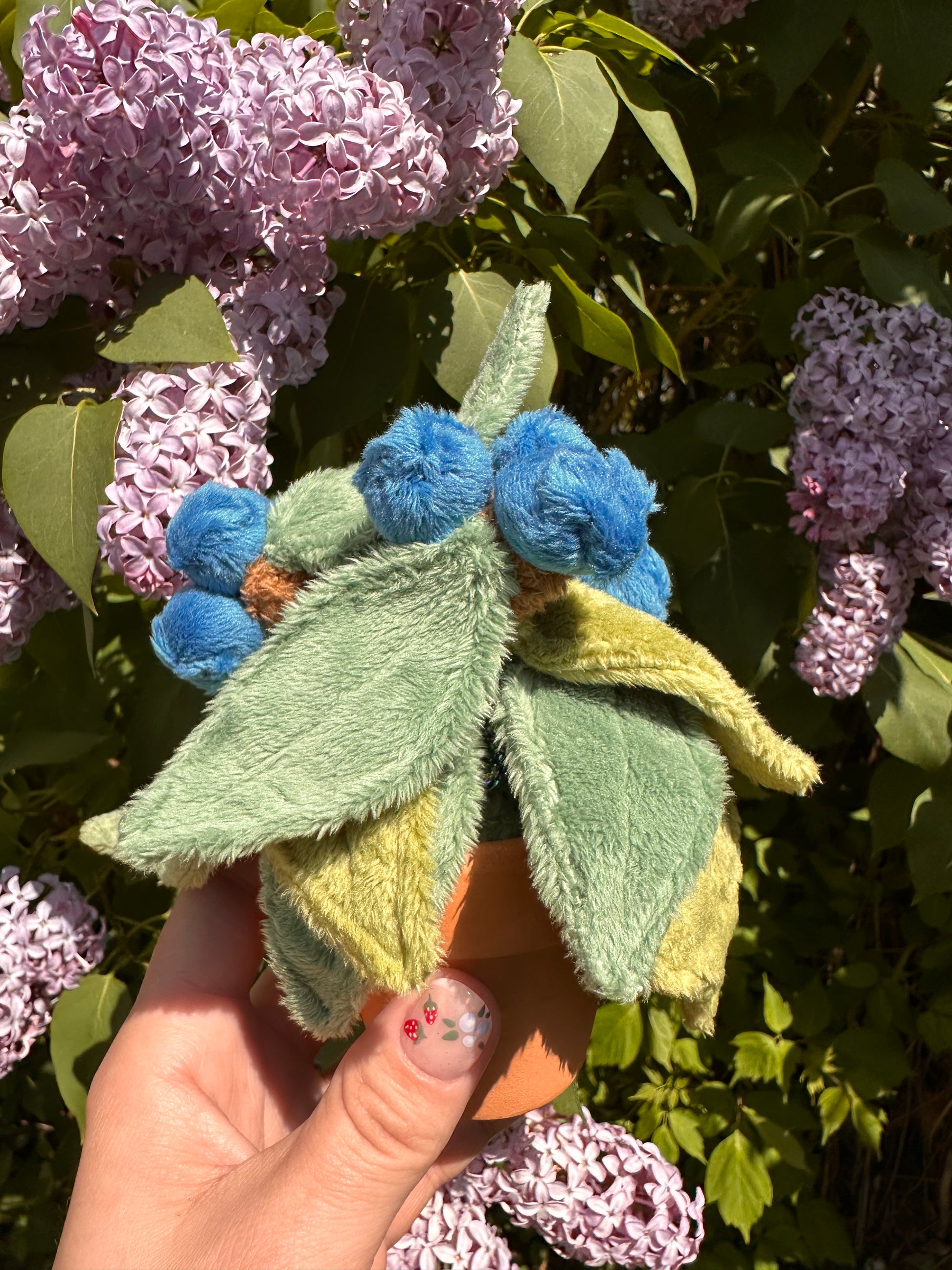 Blueberry - Magnetized Swamp Root