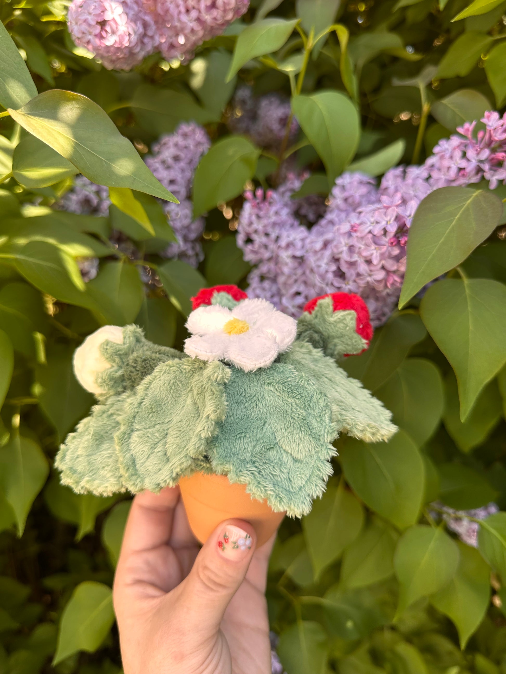 Strawberry - Magnetized Swamp Root